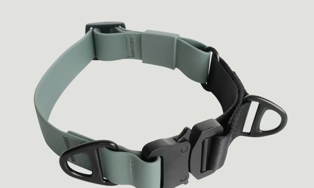 dog collar